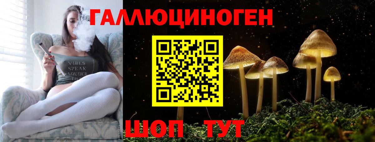 Кандалакша  Псилоцибиновые грибы Psilocybine cubensis  Псилоцибиновые грибы GOLDEN TEACHER  Вход с VPN 